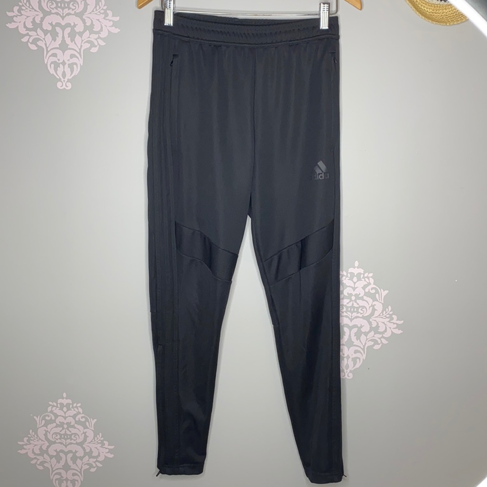 Adidas Women Pant